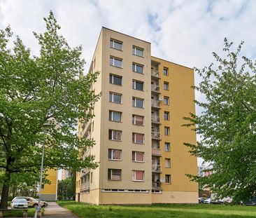 Pronájem bytu 1+kk 30 m² - Fotografie 2