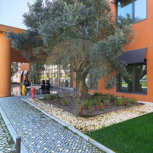 Apartamento T2 em Lisboa - Photo 3