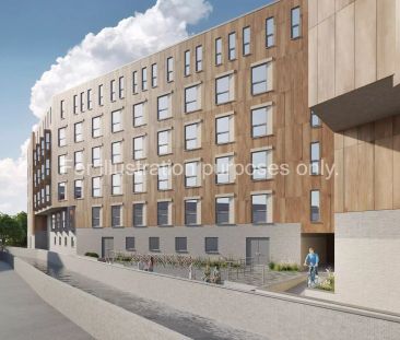 Gold Studio - Photo 4