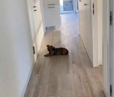 3 Zimmer, 100 m² - Photo 4