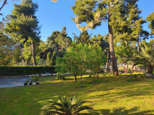 Διαμέρισμα για ενοικίαση Κέντρο (Διόνυσος) - Photo 1