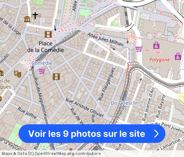 Passage David Bélugou, Montpellier - Photo 1