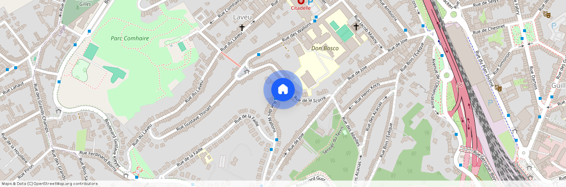 Rue des Wallons, 177, 011, 4000, Liège