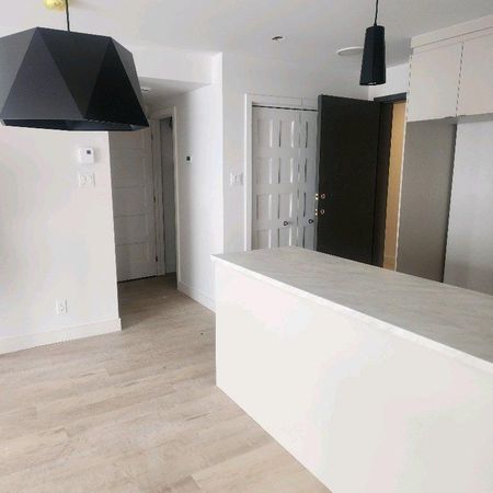 Condo neufs 2 chambres animaux acceptés - Photo 4