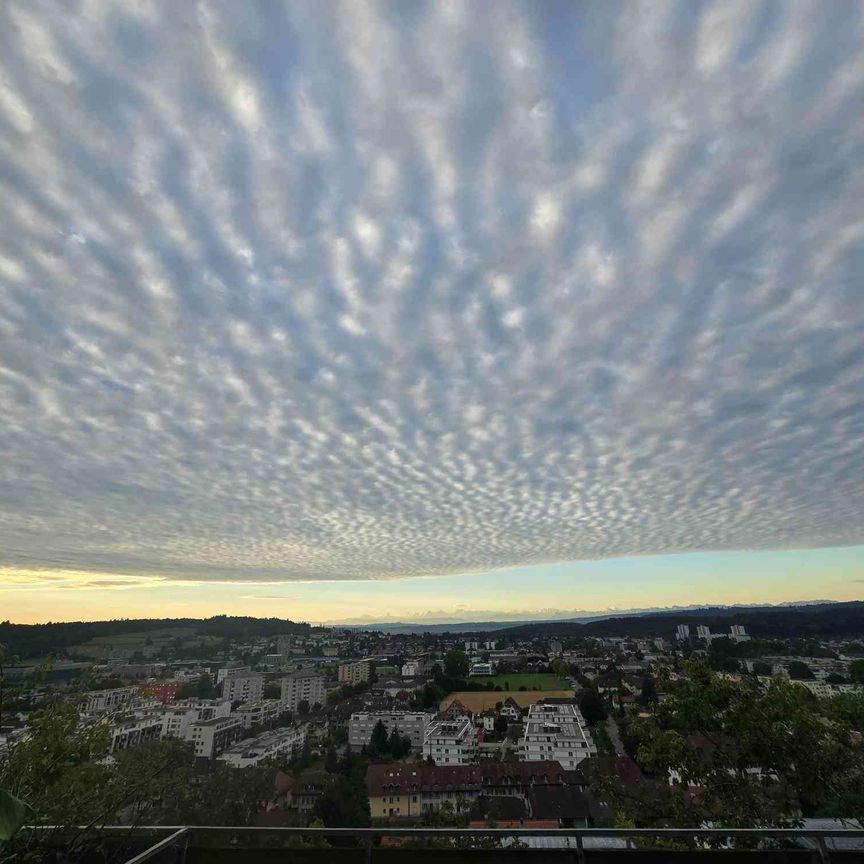 3 Zimmer, 90 m², EG - Photo 1