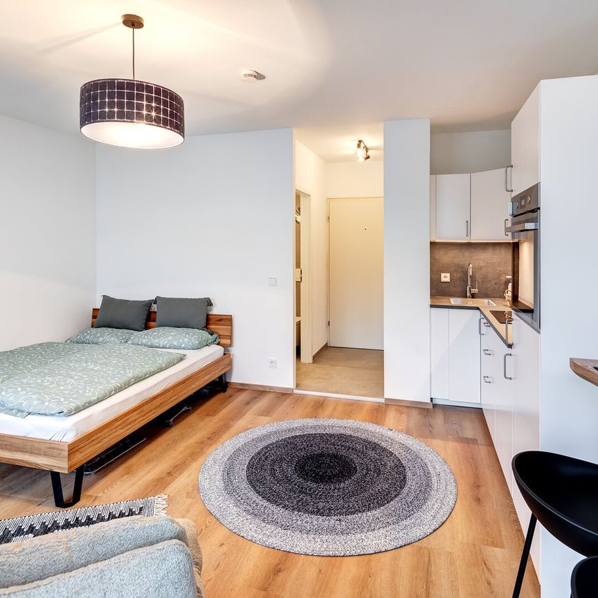 1-room apartment for rent with modern bathroom - Photo 1