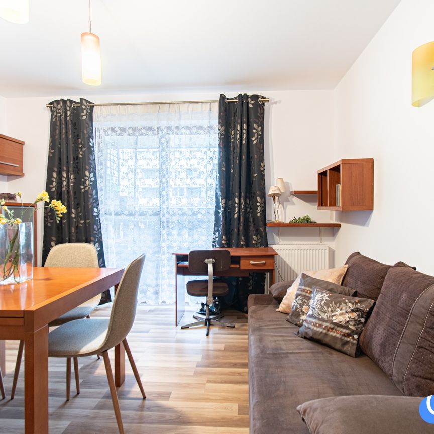 2 osobne pokoje I balkon I od zaraz I Piltza I - Photo 1