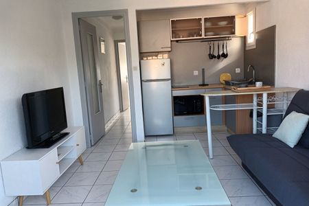 Appartement T2 meublé année dans quartier calme - Photo 3