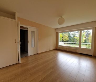 Location Appartement 1 pièce 29m² ANNECY LE VIEUX 74940 - Photo 2
