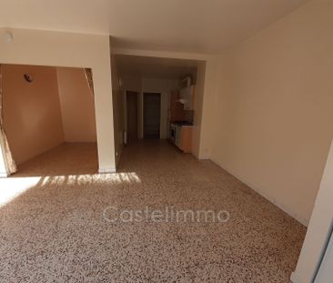 Location Appartement 1 pièce 35m² ST NICOLAS DE LA GRAVE 82210 - Photo 1