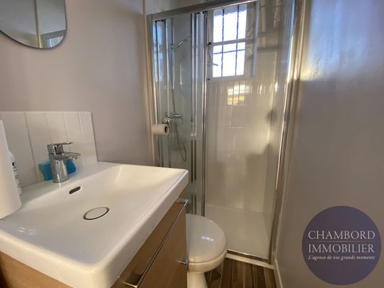 Maison Meublée à Blois Vienne - Photo 1