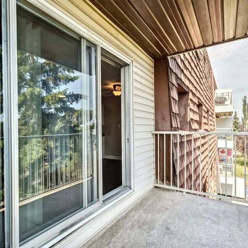 Blue Quill Pointe — 2-Bedroom Updated - Photo 1