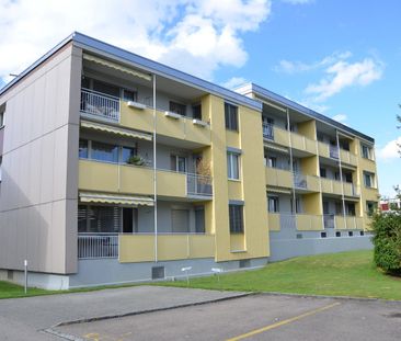 "renovierte moderne 4.5-ZW mit zwei Balkonen" - Foto 1