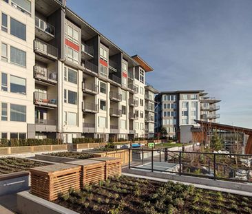 Fraser Flats Apartments - 1 Bedroom - Photo 4