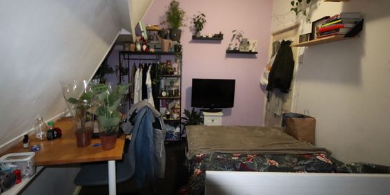 Molenweg 58B - Photo 3