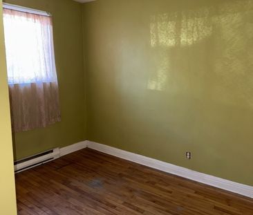 9788 Rue Chambord, H2C 2P7, H2C 2P7, Montréal - Photo 1