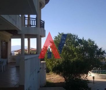 Βίλλα 462 τ.μ. προς ενοικίαση - Photo 6