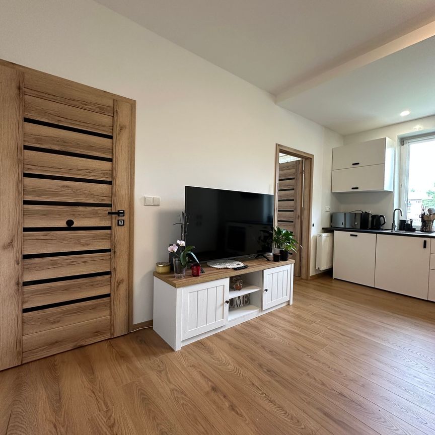 Pronájem bytu 3+kk 53 m² - Fotografie 1