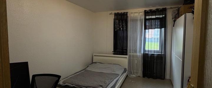 Hell 3- Zimmer mit Küche und großem Keller - Photo 1