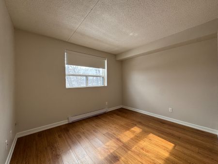 For Lease - 16 Capner Street Unit# 312, St. Catharines, Ontario - Photo 3