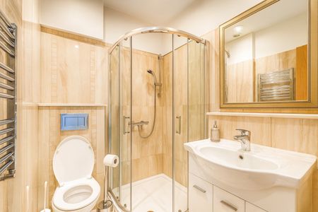 1 Bed Flat, Alderney Street, SW1V - Photo 5