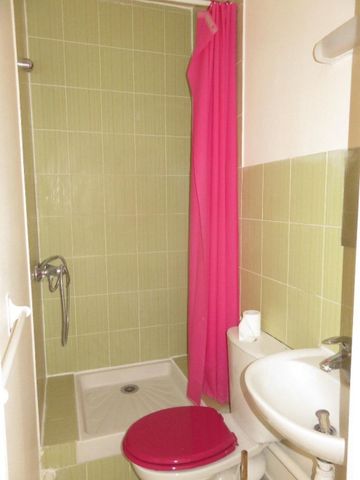 Location Appartement 1 pièce 23m² CHOISY LE ROI 94600 - Photo 4