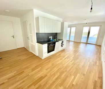 Moderne 1-Zimmer-Wohnungen direkt bei U2-Donaumarina in 1020 Wien z... - Photo 6