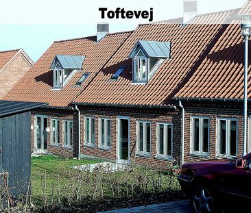 Rørsangervej,Teglvænget,Birkefredsvej 446-0 - Photo 4