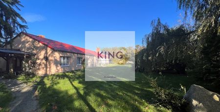 Dom na wynajem Goleniów (gw), Żółwia Błoć - Photo 5