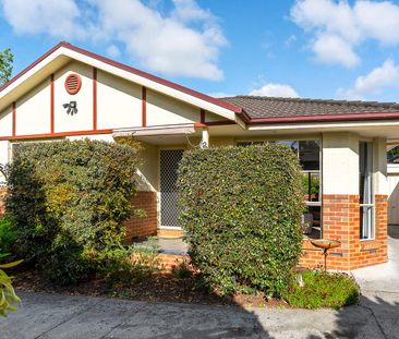 Beautifully Renovated Single Level Home - Photo 6