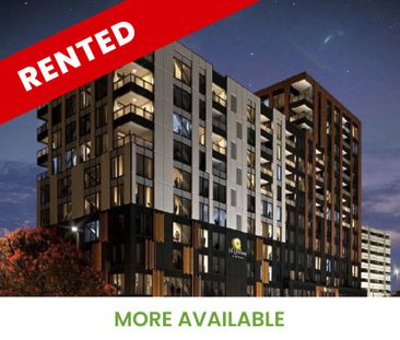 719/20 Park Avenue, Ellerslie - Photo 3