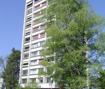 1 Zimmer, 25 m², 2. Stock - Foto 4