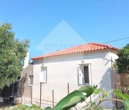 Μονοκατοικία για ενοικίαση - Ρίο, - Photo 5