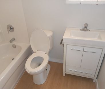 Bachelor Apartment - Photo 3