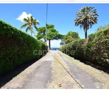 A louer sur Case-Pilote - Villa de type 4 - terrasses - - Photo 4