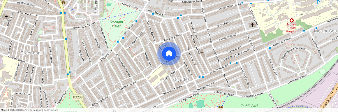 Cecil Avenue (L), Plymouth PL4