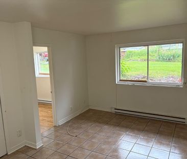 Beau 3 1/2 - Photo 4