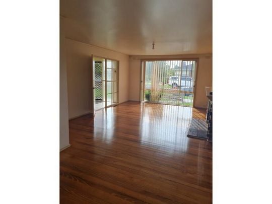 NOT TO BE MISSED! - Photo 1