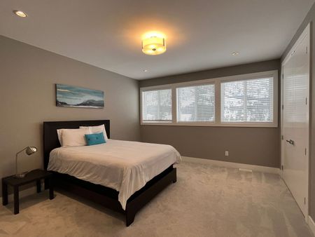 FURNISHED 4 Bed/3.5 Home in Black Mountain - Photo 4