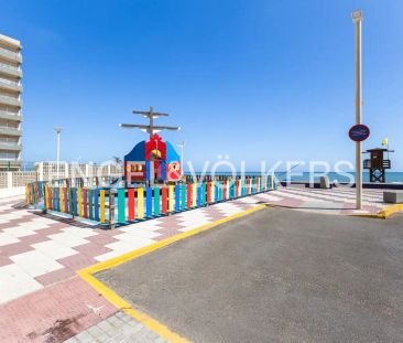 Sueca - Photo 2