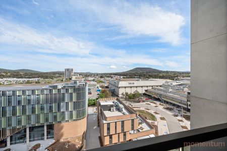 916/15 Bowes Street, Phillip ACT 2606 - Apartment For Rent | Domain - Photo 3