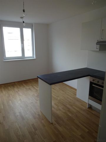 Prov-Frei - 2 Zimmer + Loggia in der Niesenbergergasse - Foto 2