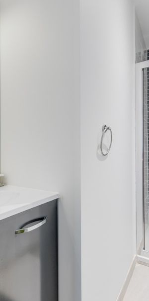 LACASSAGNE Roommate 4 Bedrooms at Lyon 3e - Photo 2