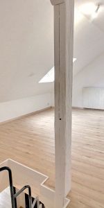 Duplex 3 pièces à Sélestat - Photo 4