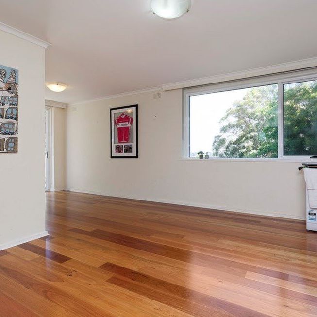 Spacious Living, Close to Hays Paddock - Photo 1