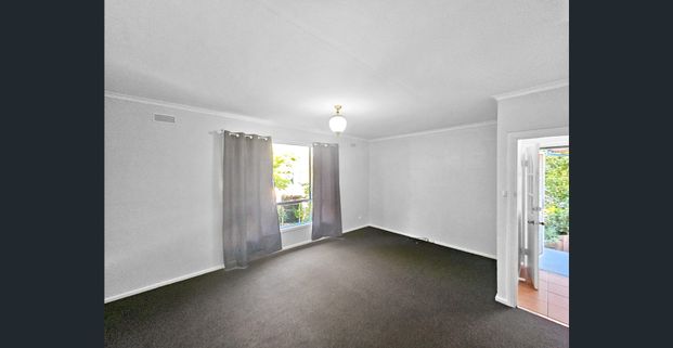 A DAY IN YOUR LIFE AT 3 DOOLAN STREET MORWELL - Photo 1