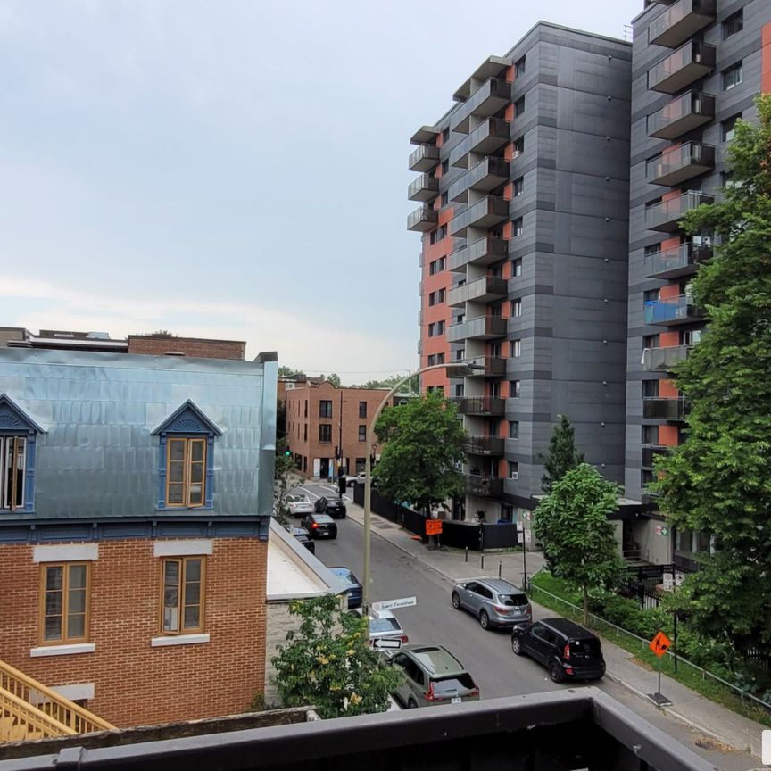 1309-1309 Panet, Ville-Marie (Centre-Ville et Vieux-Montréal) à louer - Photo 1