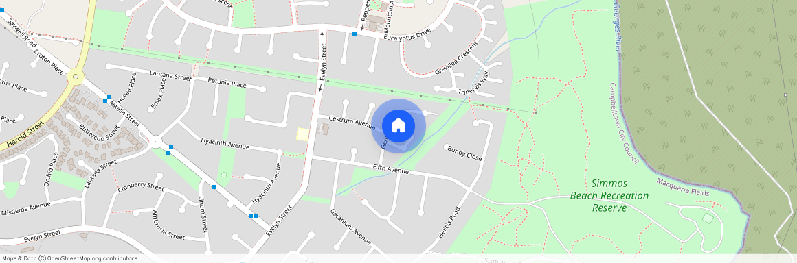 7 Gentian Avenue, Macquarie Fields 2564, New South Wales