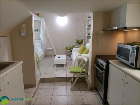 Studio/Γκαρσονιέρα για ενοικίαση Άλσος Παγκρατίου (Παγκράτι) - Photo 4