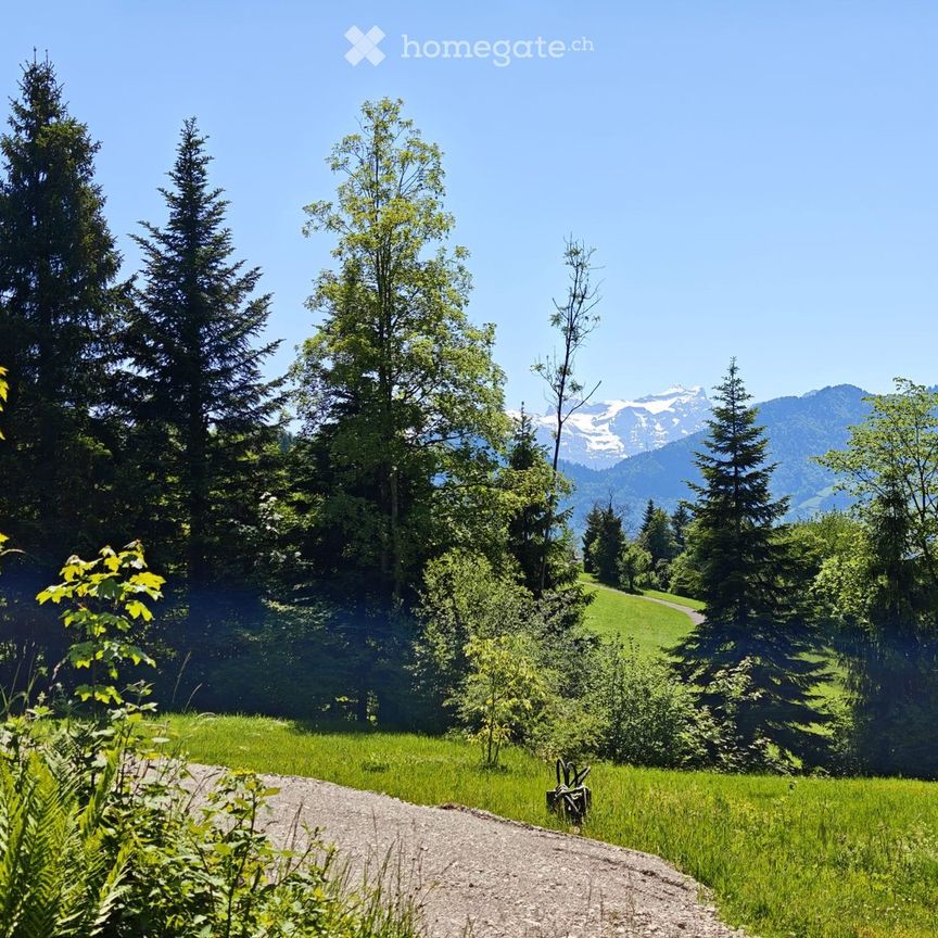 Exklusives 4 1/2 Zimmer Haus am Waldrand mit Alpensicht - Photo 2
